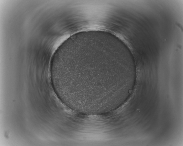 X0000100421469200806201811