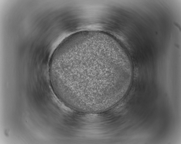 X0000100421470200806201811