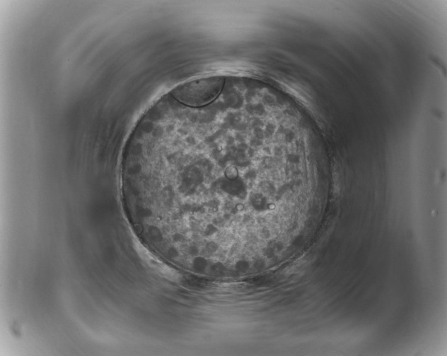 X0000100421471200806201811