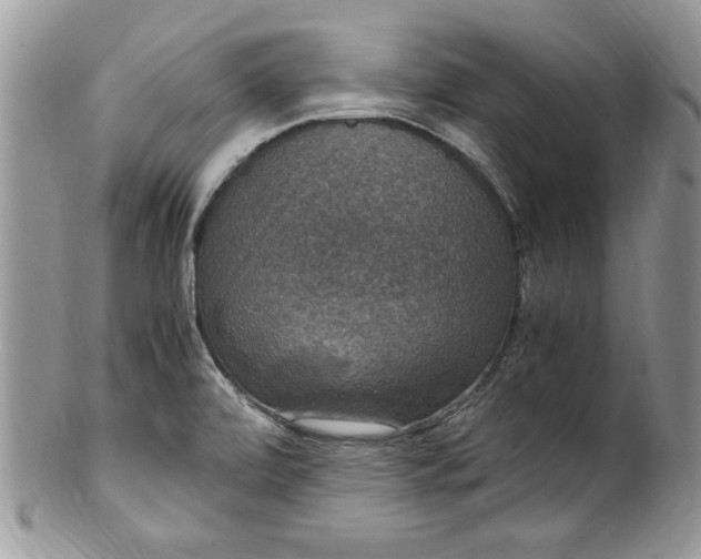 X0000100421472200806201811