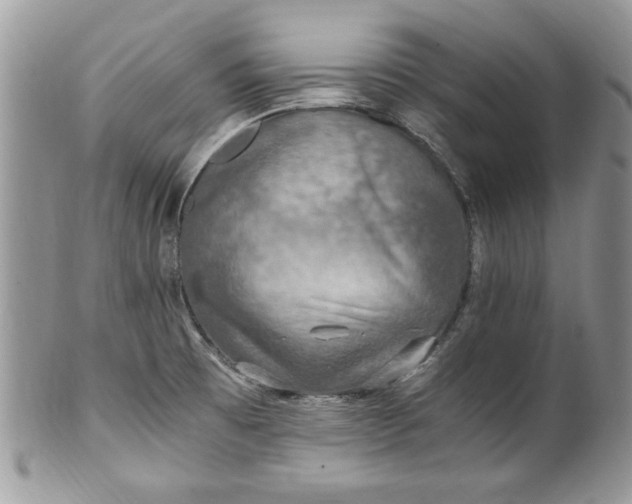 X0000100421473200806201811