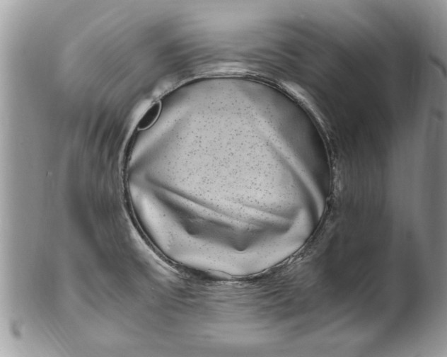 X0000100421475200806201811