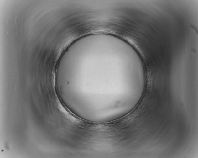 X0000100421476200806201811