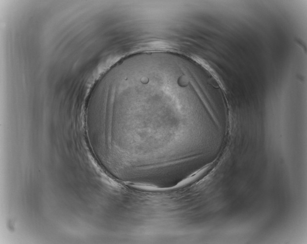 X0000100421477200806201811