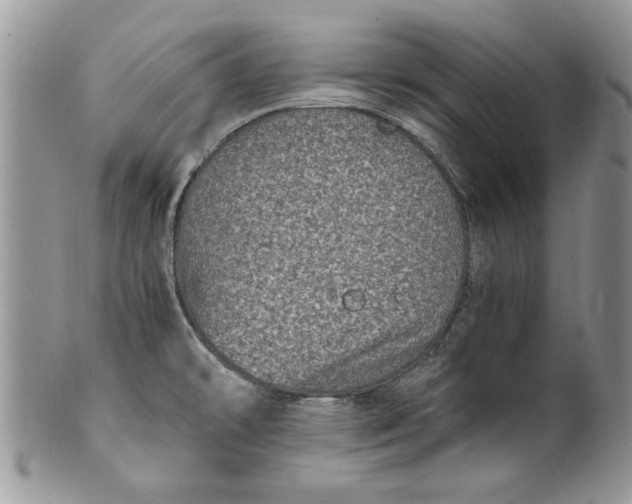 X0000100421478200806201811