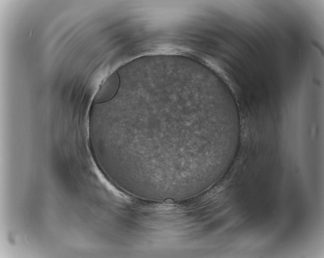 X0000100421479200806201811