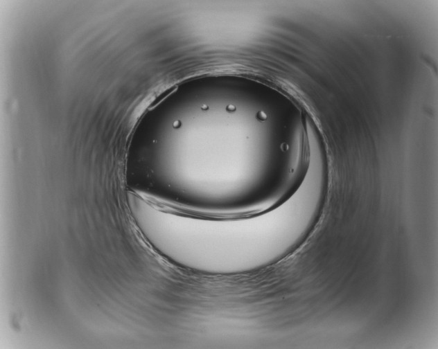 X0000100421481200806201811