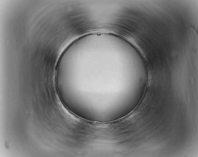 X0000100421484200806201811