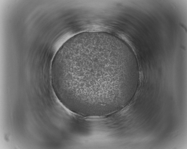 X0000100421487200806201811