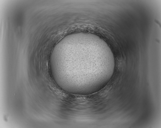 X0000100421489200806201810