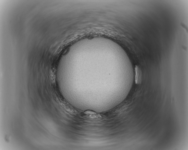 X0000100421491200806201810