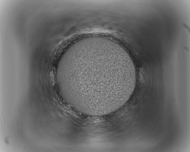X0000100421493200806201810
