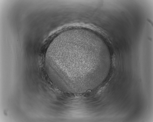 X0000100421494200806201810