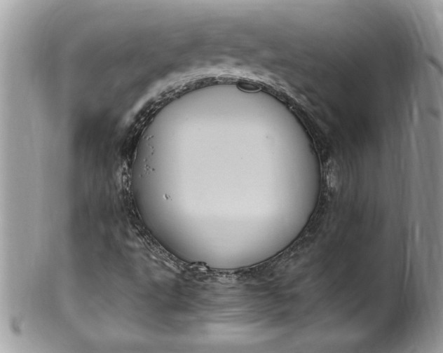 X0000100421495200806201810