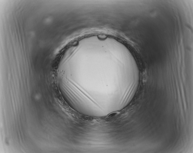X0000100421496200806201810