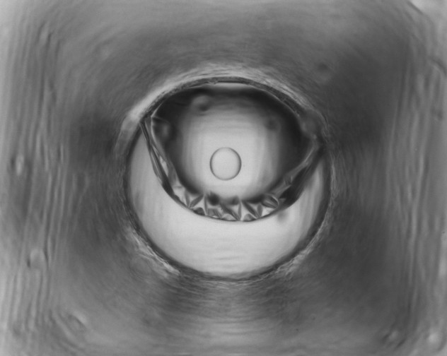 X0000100421502200806201810