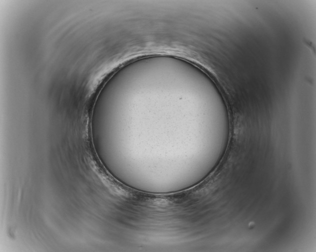 X0000100421507200806201810