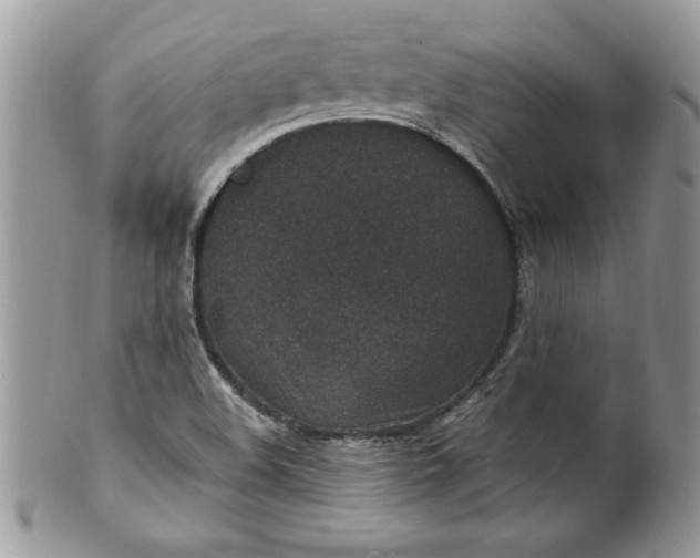 X0000100421508200806201811