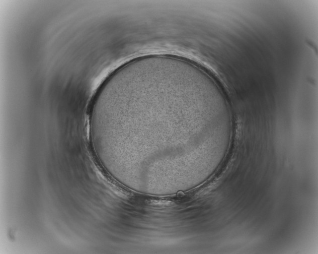 X0000100421509200806201811