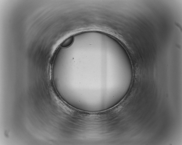X0000100421510200806201811