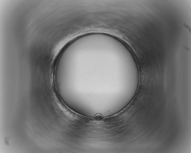 X0000100421511200806201811