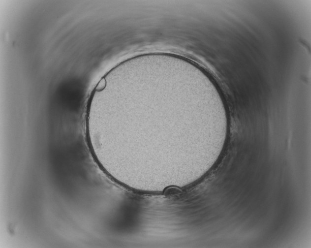 X0000100421512200806201811