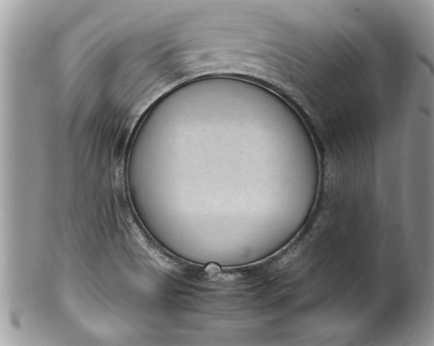 X0000100421513200806201811