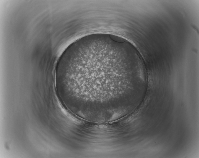 X0000100421515200806201811
