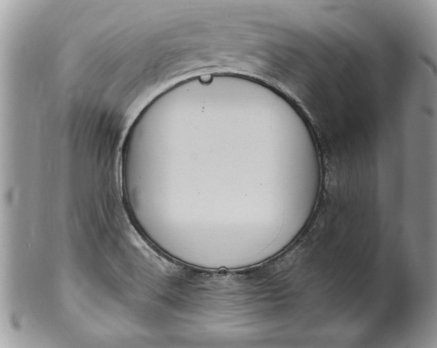 X0000100421516200806201811