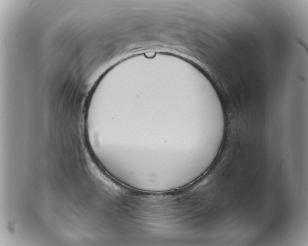 X0000100421518200806201811