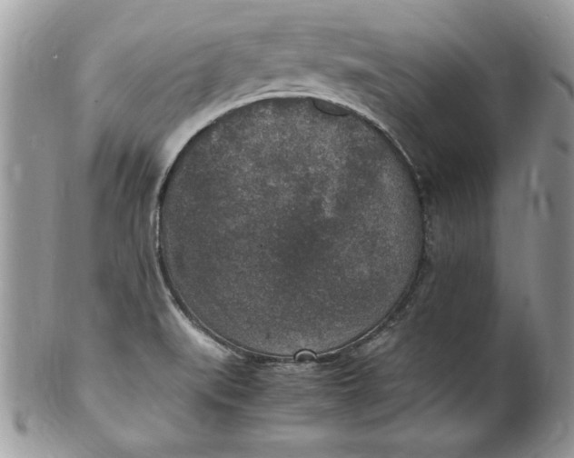 X0000100421519200806201811