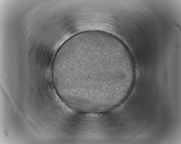 X0000100421521200806201811