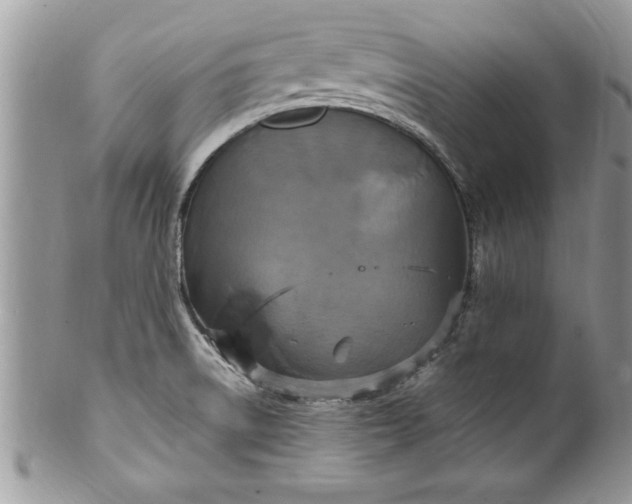 X0000100421522200806201811