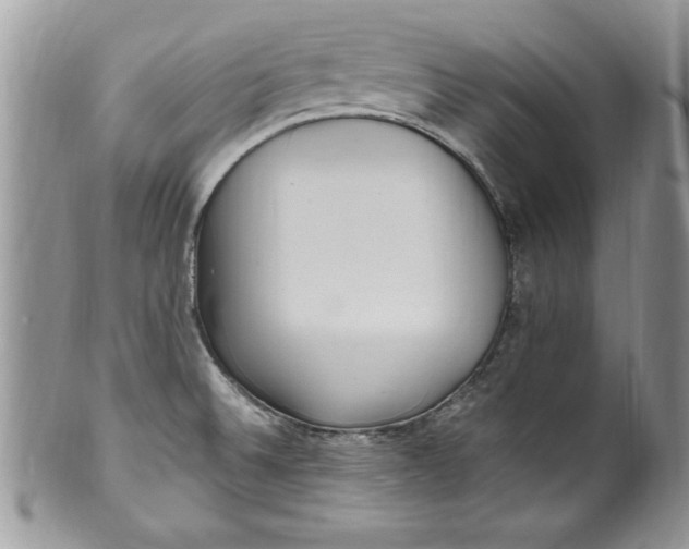X0000100421524200806201811