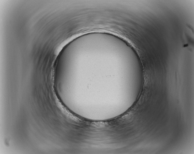 X0000100421526200806201811