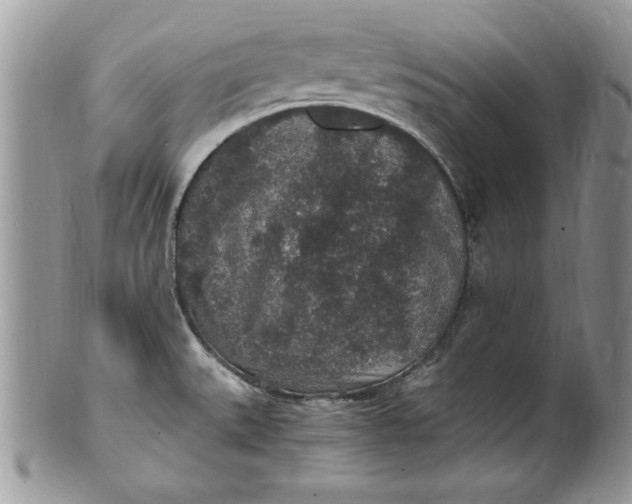 X0000100421527200806201811