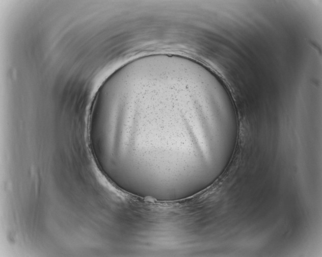 X0000100421528200806201811