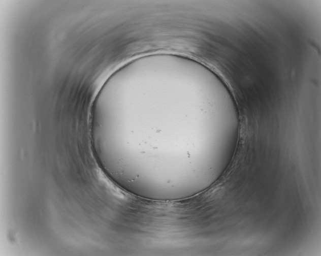 X0000100421532200806201811