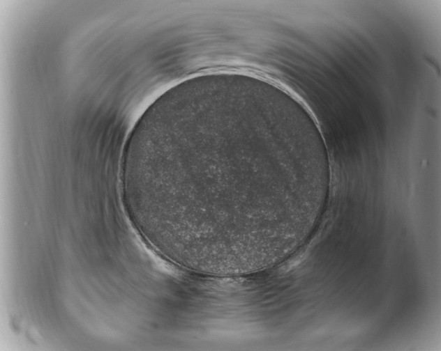 X0000100421533200806201811