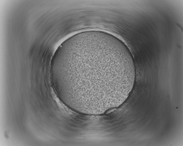 X0000100421534200806201811