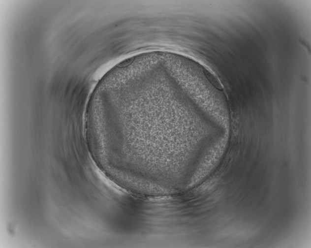 X0000100421535200806201811