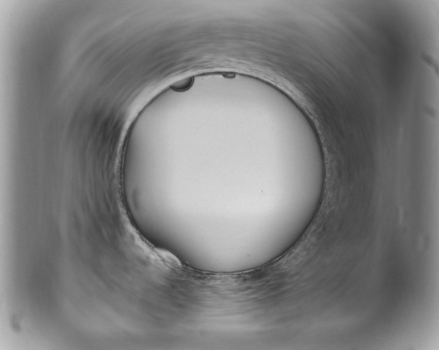 X0000100421536200806201811