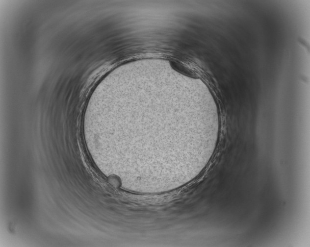 X0000100420001200806271518