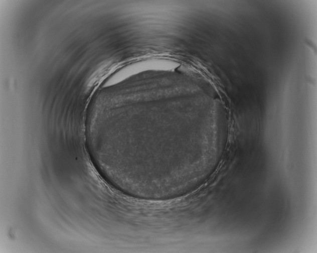 X0000100420002200806271518