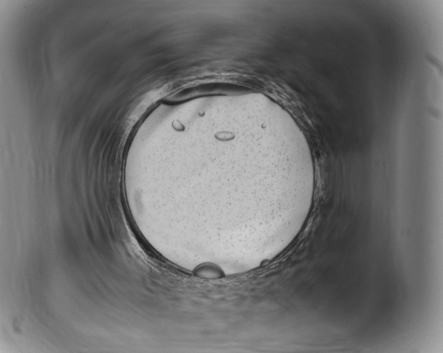 X0000100420003200806271518