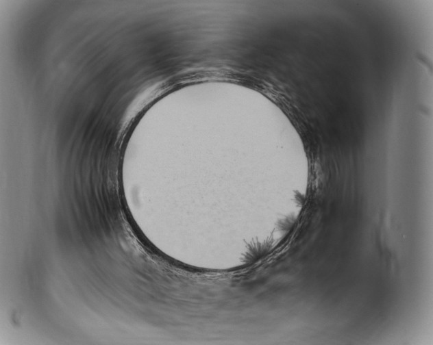 X0000100420004200806271518