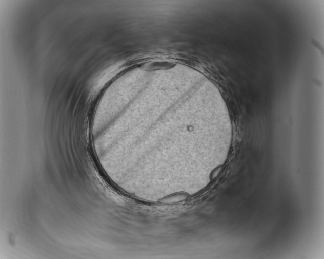 X0000100420005200806271518