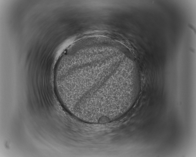 X0000100420006200806271518