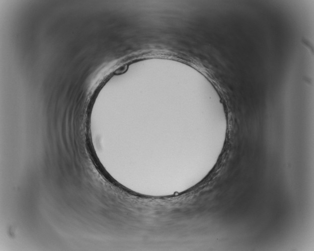 X0000100420007200806271518