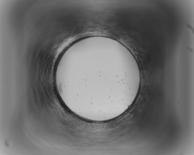 X0000100420008200806271518